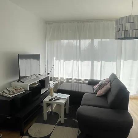 Bel Near Bale Mulhouse Airport Daire